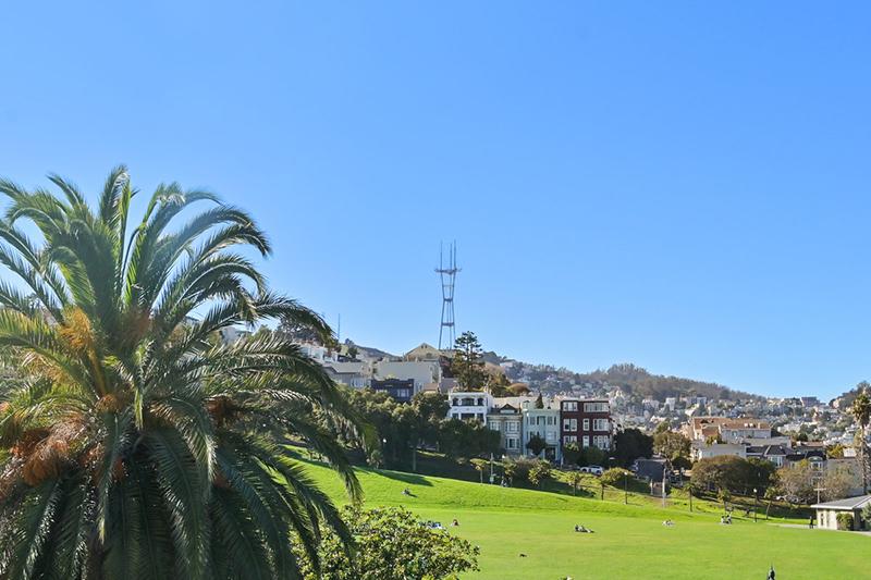 Grassy park in San Francisco